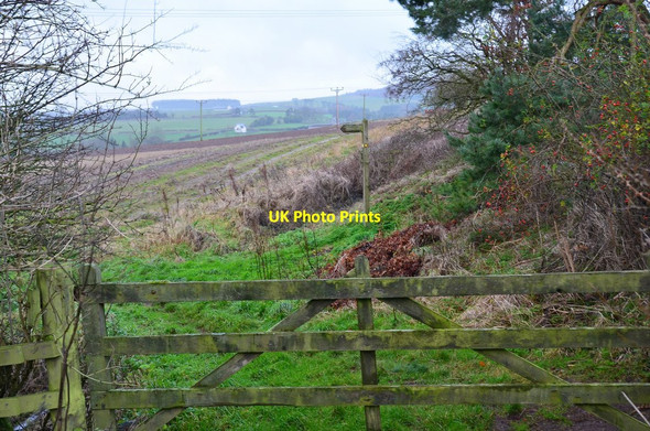 Photo 6"x4" Field path to Jedburgh Jedburgh c2015