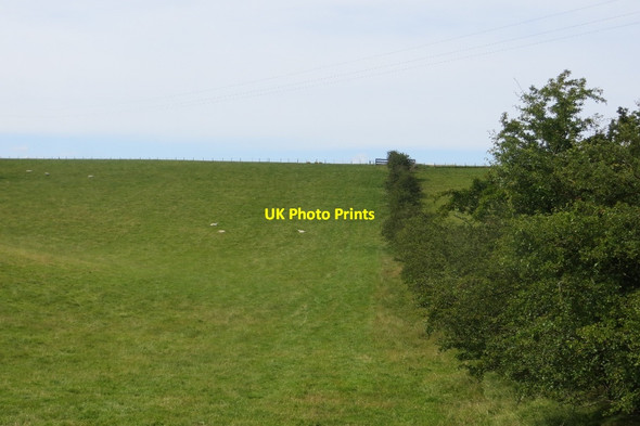 Photo 6"x4" Field near Lochmaben Lochmaben c2015