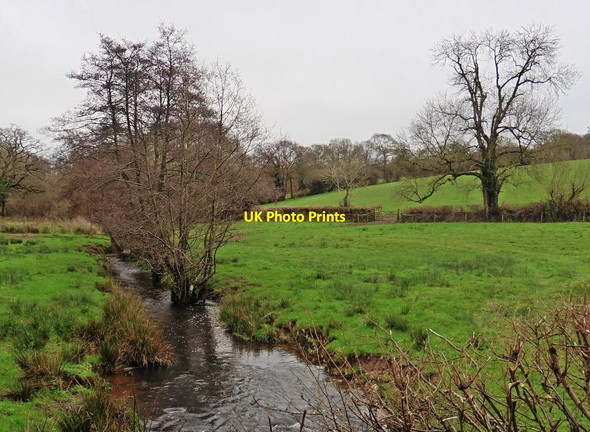 Photo 6"x4" River Culm Burnworthy c2015