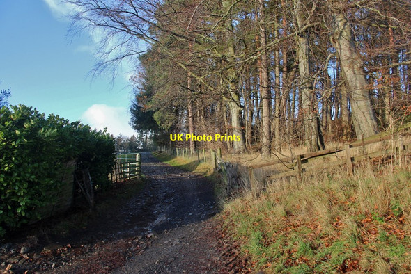 Photo 6"x4" East Drive, Fairnilee House Yair c2015