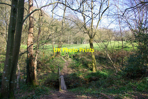 Photo 6"x4" Footpath between Herrings Farm and Marklye Farm Heathfield\/TQ5821 c2007