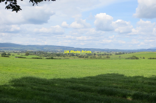 Photo 6"x4" Pasture near Lochmaben Lochmaben c2015