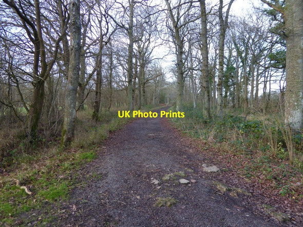 Photo 6"x4" Bridleway goes north towards Hope Rough Bucks Green c2015