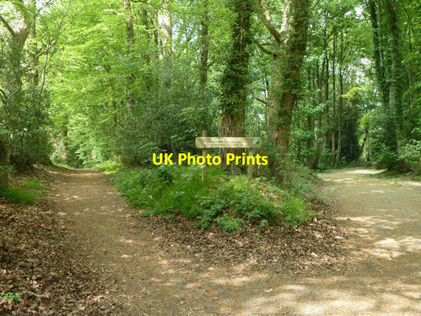 Photo 6"x4" Paths, Burrswood estate Stone Cross\/TQ5238 c2011