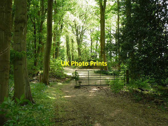 Photo 6"x4" Partly gated track in woodland Stone Cross\/TQ5238 c2011
