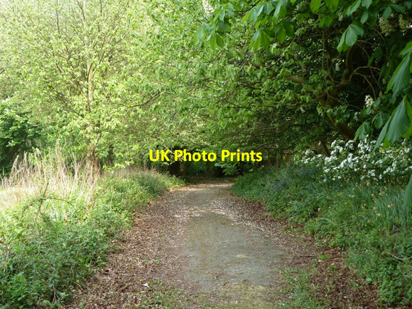 Photo 6"x4" Permissive path towards Groombridge Road Stone Cross\/TQ5238 c2011