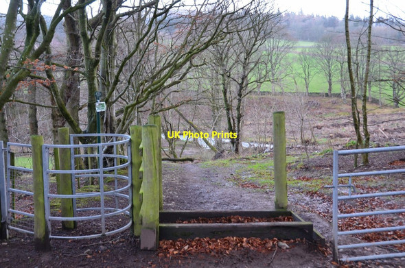 Photo 6"x4" Gates at Gypsy Glen, Peebles Peebles\/NT2540 c2015