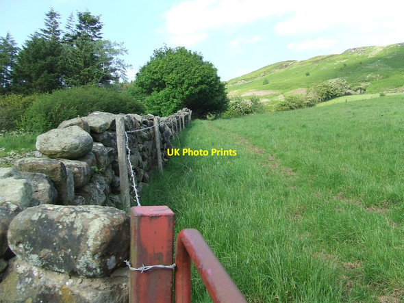 Photo 6"x4" Stone Wall Seave Green c2015