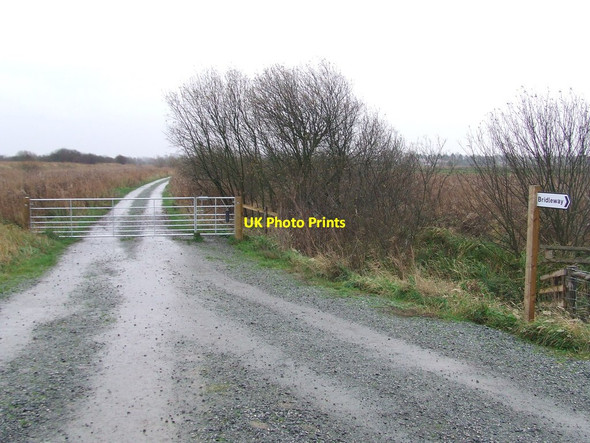 Photo 6"x4" Bridleway Sign Oulton Broad c2015
