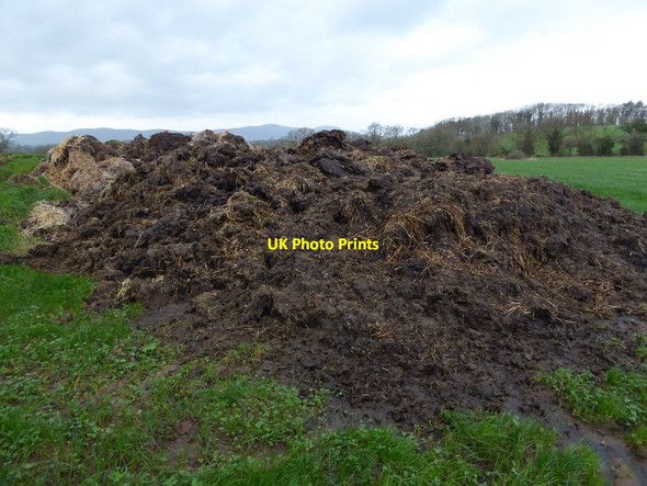 Photo 6"x4" Muck bury Earl's Croome c2015
