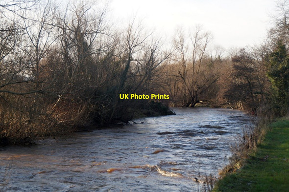 Photo 6"x4" River Esk at Inveresk Musselburgh c2015
