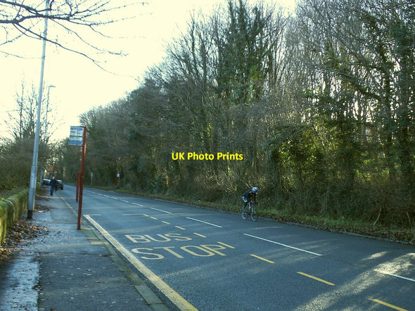 Photo 6"x4" Cyclist on Leeds and Bradford Road Sandford\/SE2535 c2015