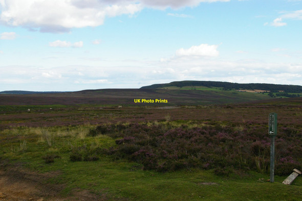 Photo 6"x4" East Moors: view across Bonfield Gill to the hill above Birk Nab Farm East Moors\/SE6093 c2015