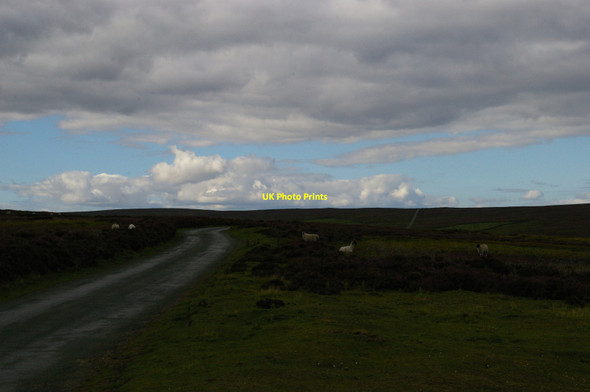 Photo 6"x4" East Moors: view along the lane northwards East Moors\/SE6093 c2015