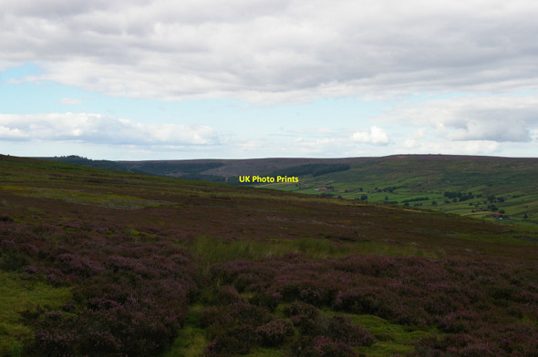 Photo 6"x4" View up Bransdale from north of Lambfold Hill Cockayne c2015