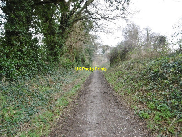 Photo 6"x4" Tarrant Monkton, Turner's Lane Tarrant Launceston c2015
