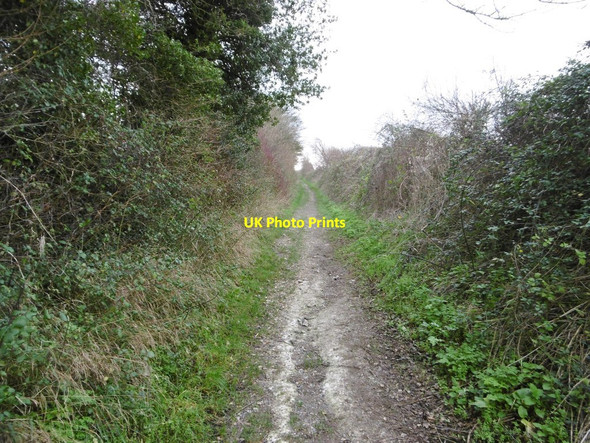 Photo 6"x4" Tarrant Monkton, Turner's Lane Tarrant Launceston c2015 P1