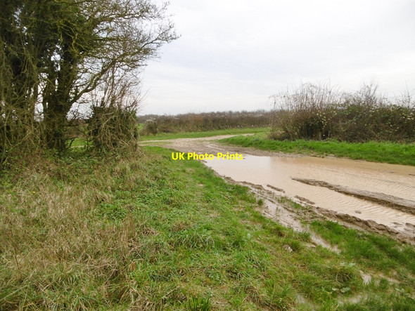 Photo 6"x4" Long Crichel, bridleway junction Long Crichel c2015