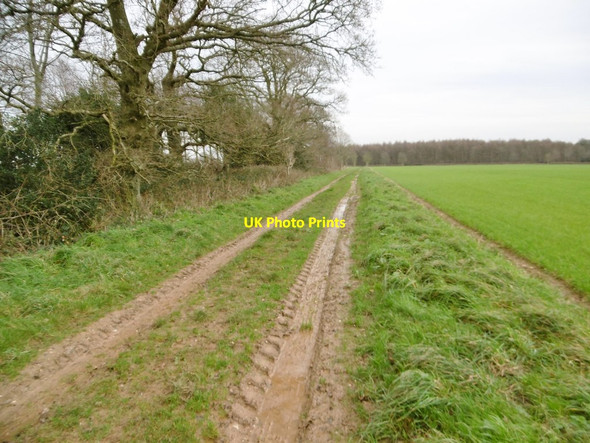 Photo 6"x4" Long Crichel, bridleway Long Crichel c2015