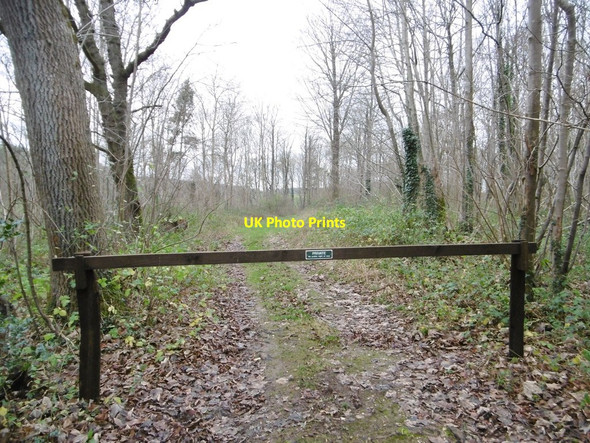 Photo 6"x4" Manswood, gateway Manswood c2015