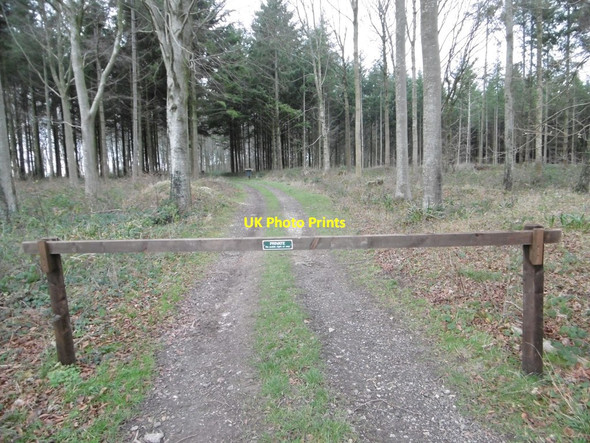 Photo 6"x4" Tarrant Monkton, gateway Manswood c2015