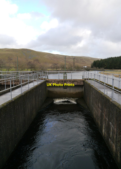 Photo 6"x4" A Sluice At St Mary's Loch Dryhope c2015