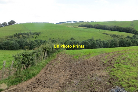 Photo 6"x4" Field off Lanegate Road Amisfield c2015