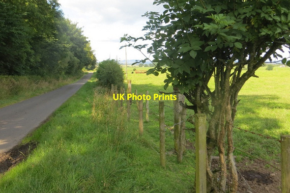 Photo 6"x4" Yellow road, Gamerigg Nethermill\/NY0487 c2015