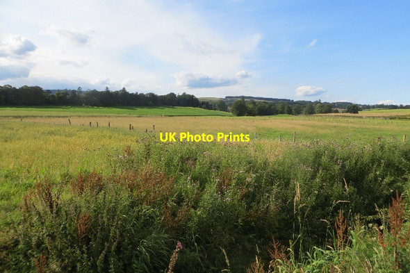 Photo 6"x4" Mowing grass, Garrel Courance c2015