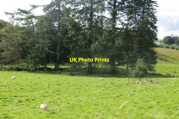 Photo 6"x4" Parkland, Courance Courance c2015