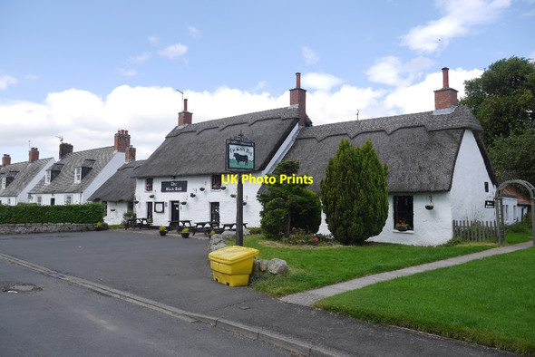 Photo 6"x4" Black Bull, Etal Etal c2015