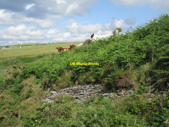 Photo 6"x4" We miss nothing Y Ferwig c2015