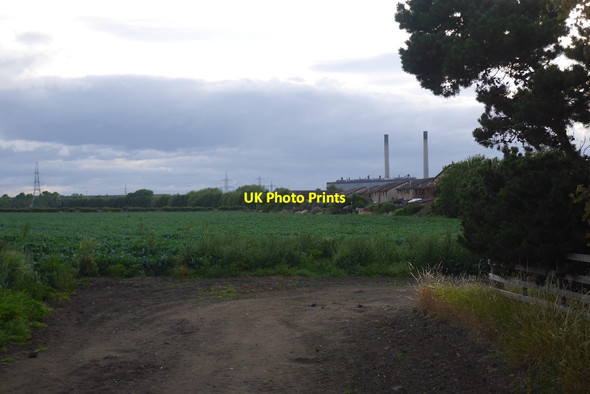 Photo 6"x4" Cabbage field, Port Seton Cockenzie and Port Seton c2015
