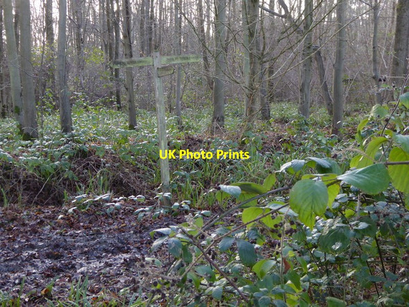 Photo 6"x4" Footpath arrives at bridleway in woodland Rowhook c2015