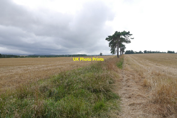 Photo 6"x4" Former field boundary, Bonnyrigg Bonnyrigg c2015