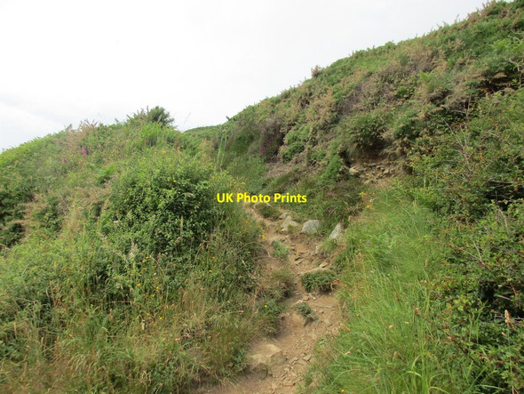 Photo 6"x4" Path upwards Granston c2015