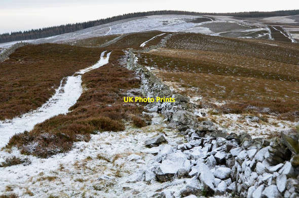 Photo 6"x4" Old Drove Road approaching Kailzie Hill Laverlaw c2016
