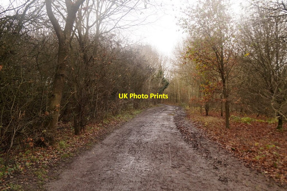 Photo 6"x4" Track in Horton Country Park Chessington c2016