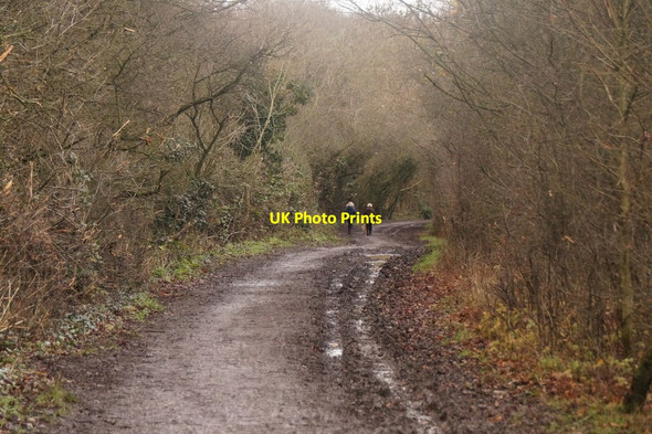 Photo 6"x4" Track in Horton Country Park Ewell c2016