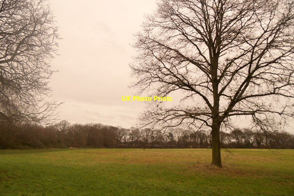 Photo 6"x4" Parkland in Nonsuch Park Sutton\/TQ2564 c2016