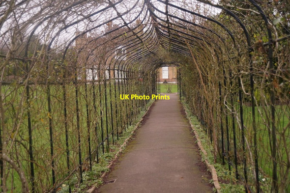 Photo 6"x4" Rose walkway in the gardens at Nonsuch Mansion Ewell c2016