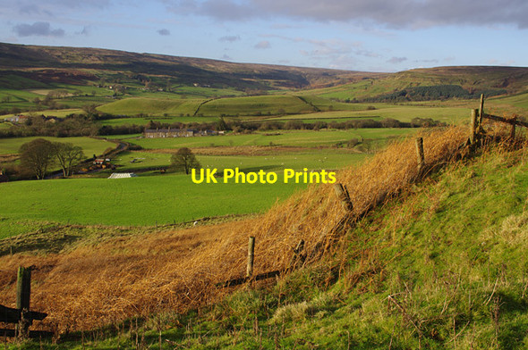 Photo 6"x4" Florence Terrace, Rosedale Thorgill c2015