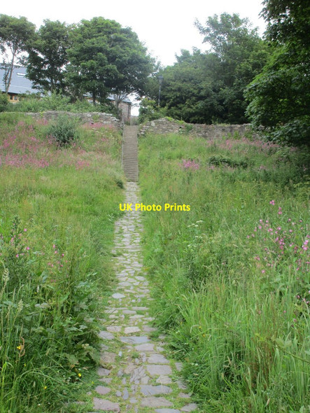 Photo 6"x4" Path and steps, St. David's St David's\/Tyddewi c2015