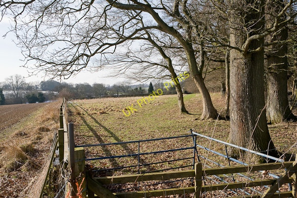 Photo 6"x4" Southern edge of Lane End Copse Lane End\/SU5525 c2009