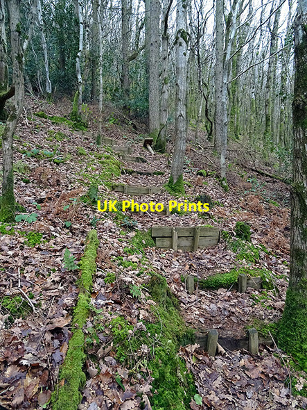 Photo 6"x4" A 'flight' of steps in Pant Da woods Nantyronen Station c2016