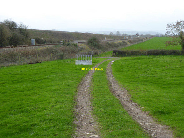 Photo 6"x4" Track across field between canal and railway, Cogload Outwood\/ST3028 c2015