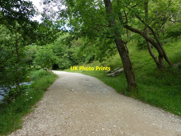 Photo 6"x4" Path heading northwards through Dovedale Ilam c2014