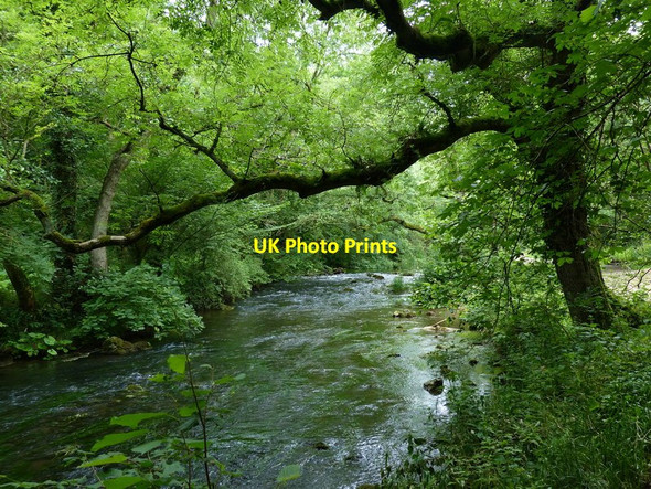 Photo 6"x4" The River Dove flowing through Dovedale Ilam c2014