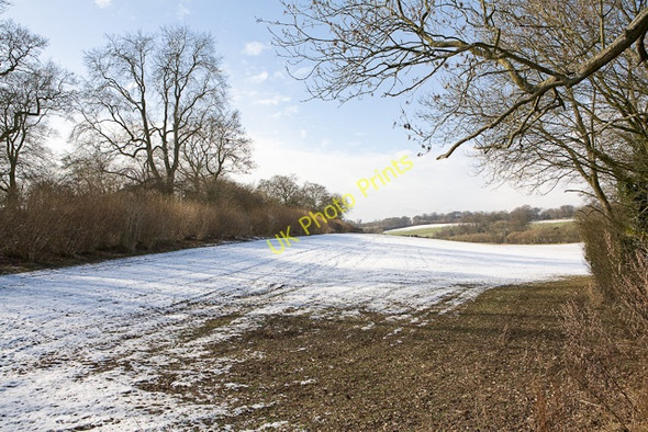 Photo 6"x4" Field east of Lane End Farm Lane End\/SU5525 c2009