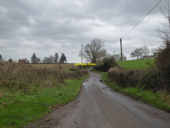 Photo 6"x4" Knapp Lane crossing Badlinch Hollow Borough Post c2015